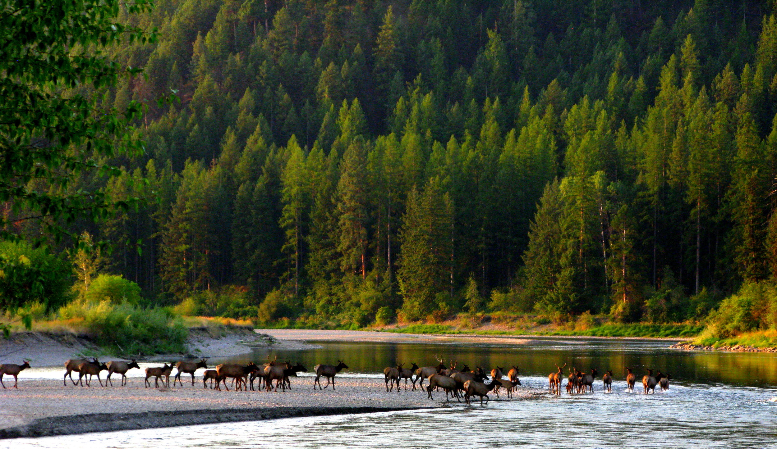 Clark Fork River