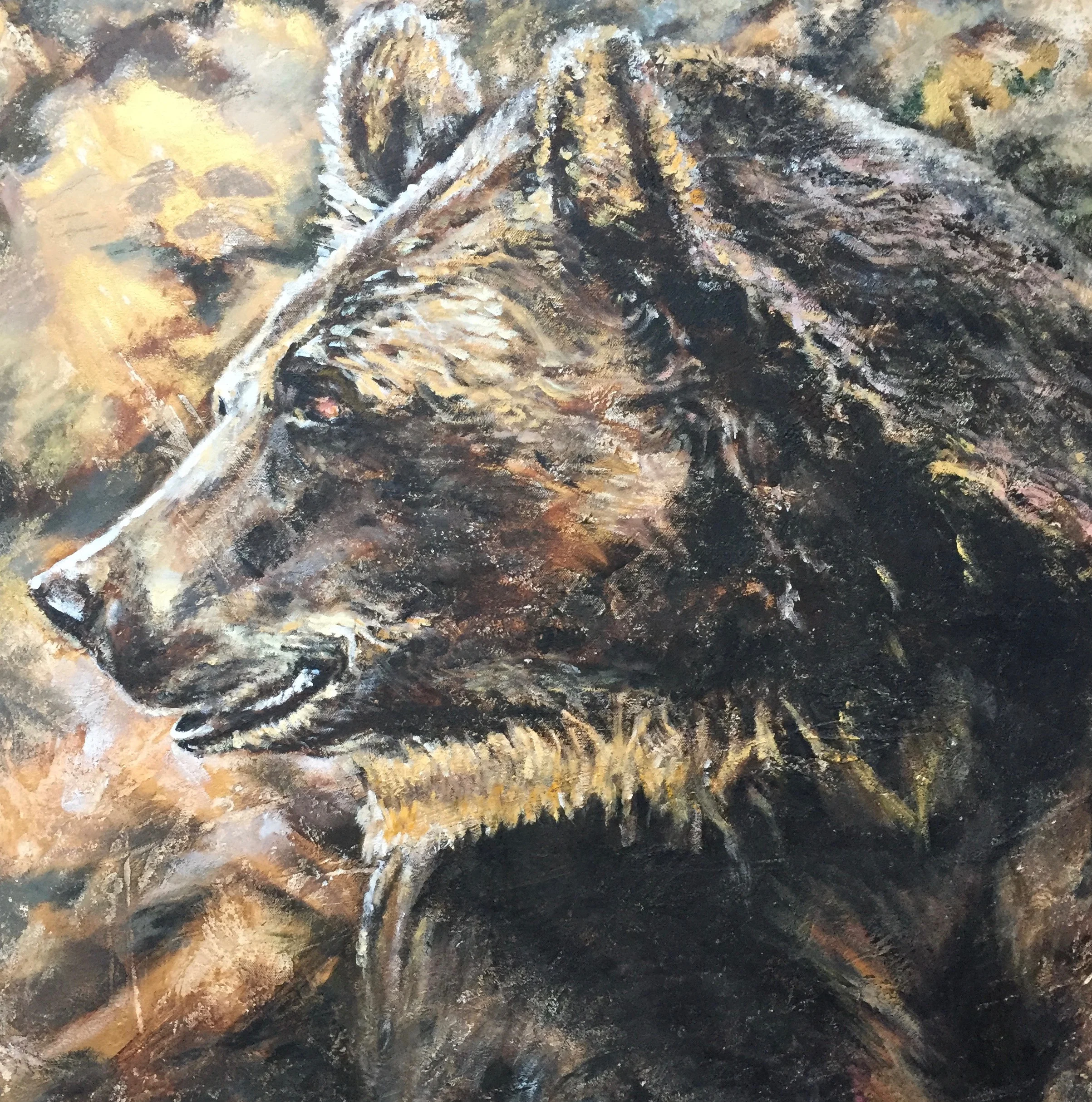 'Grizzly'