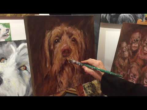 Painting a gorgeous Hungarian Vizla at DISCOVER DOGS