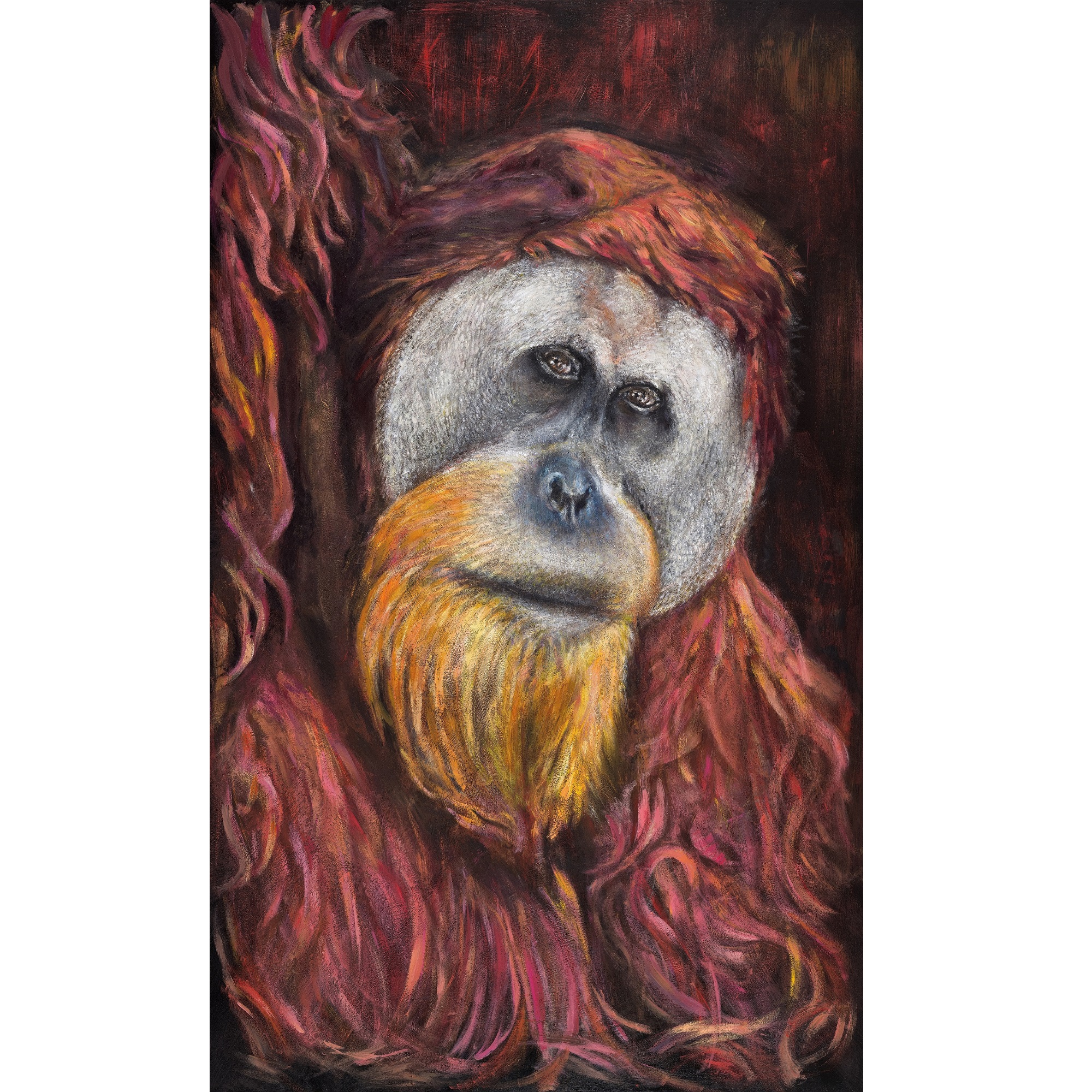 Orangutan Portrait.jpg