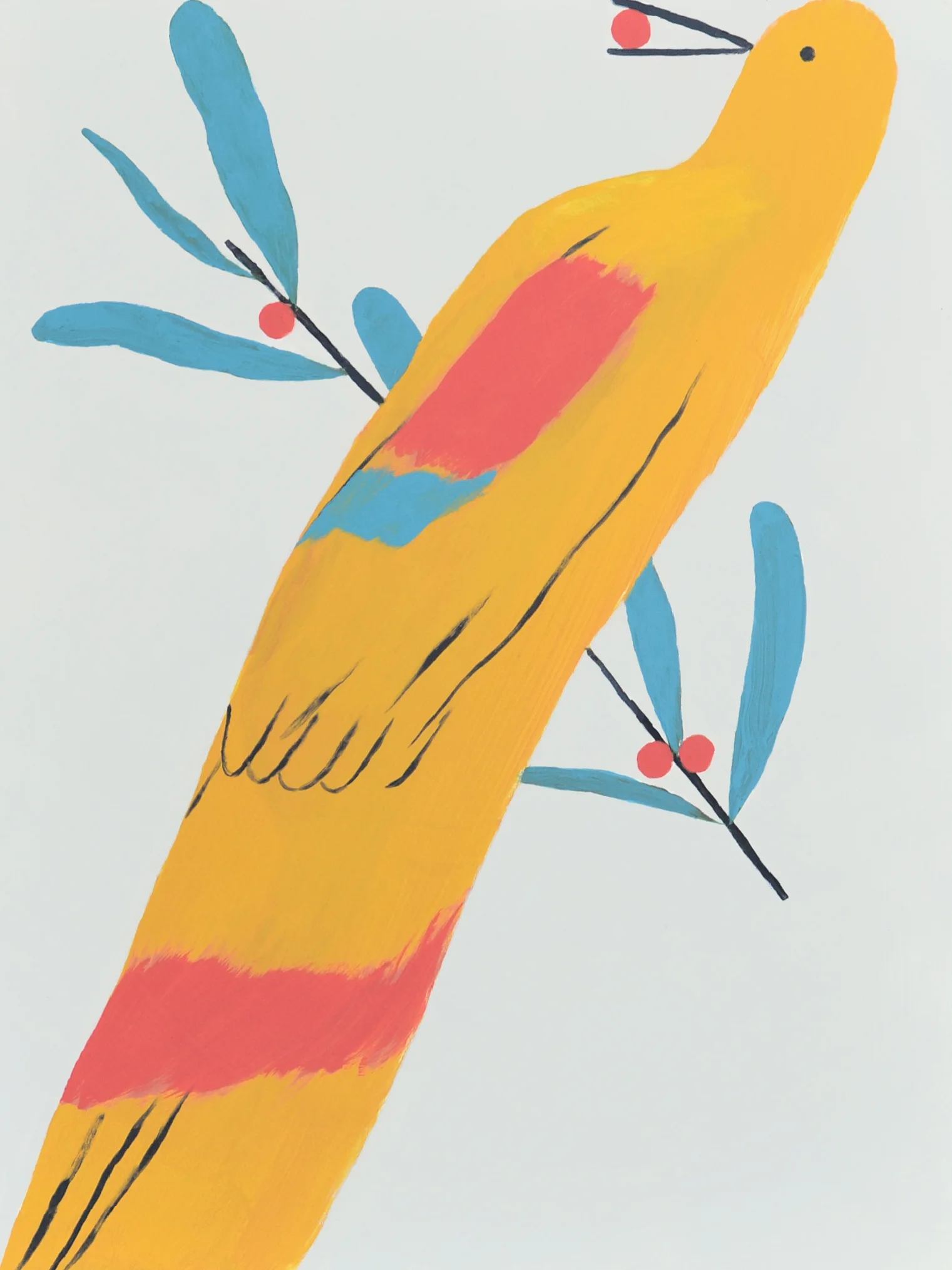 bird.jpg
