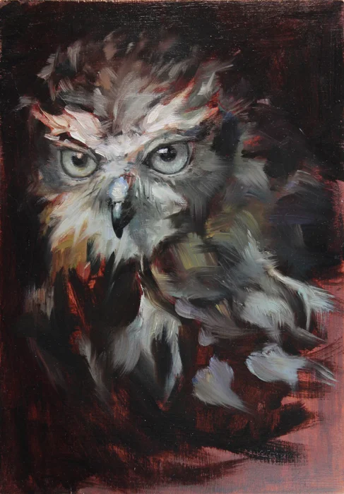 Owl