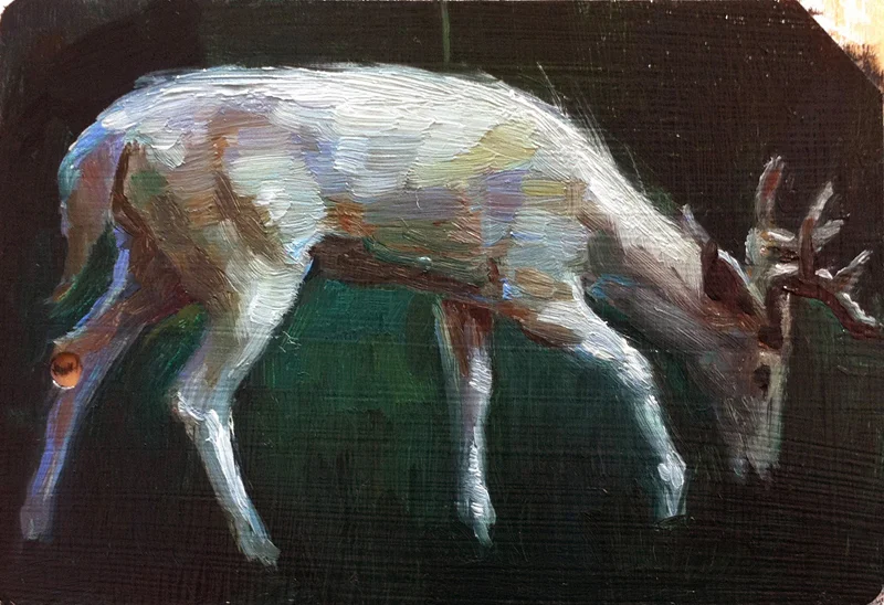 White Stag IV