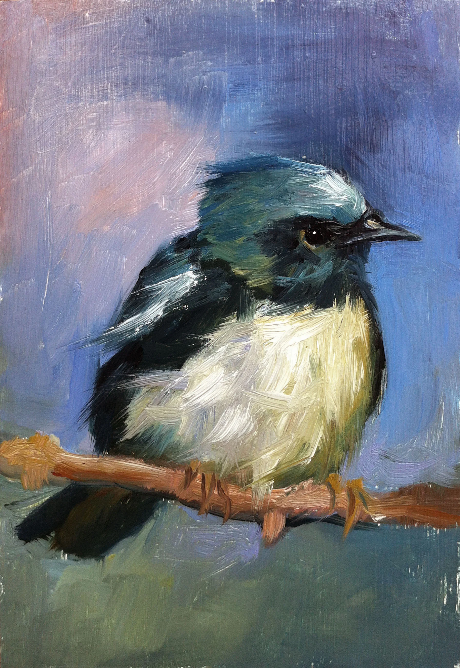 Black-throated Warbler