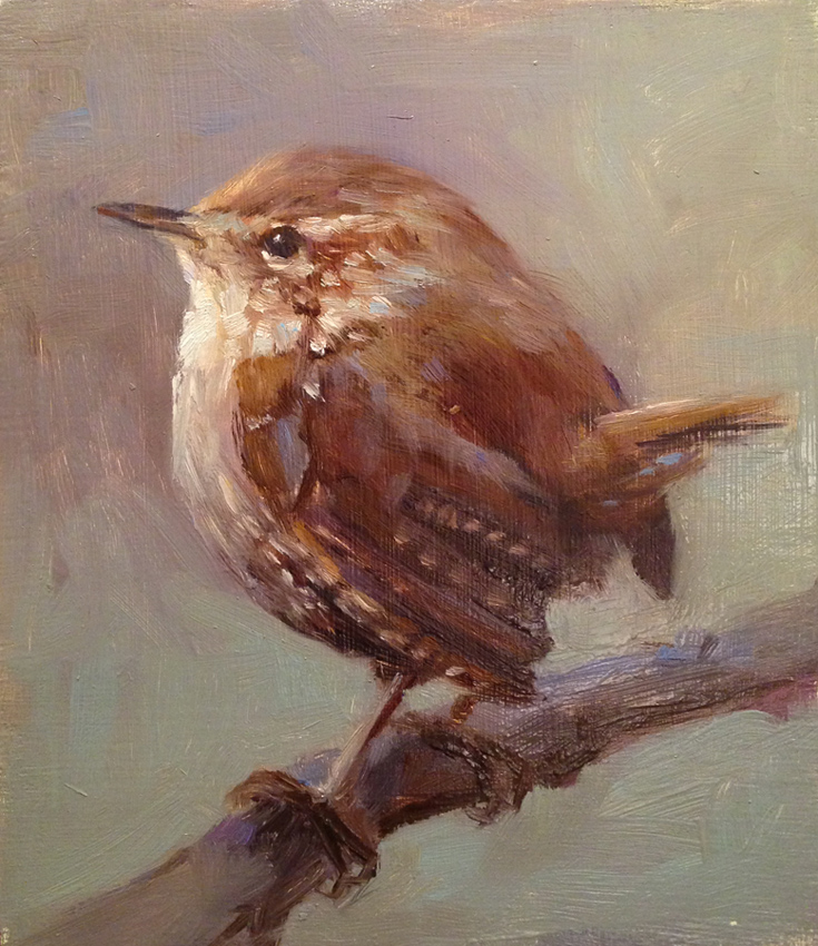 Winter Wren