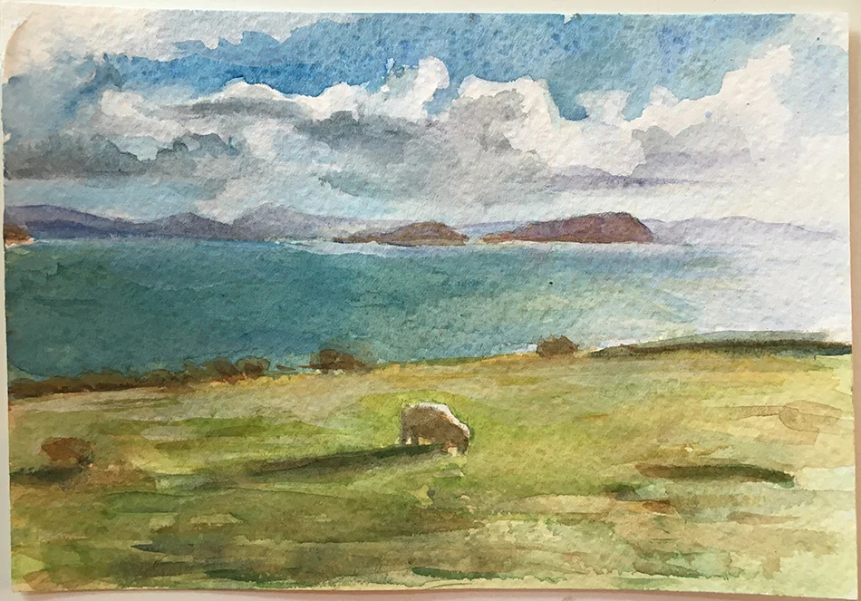 Ballinskelligs Sheep II