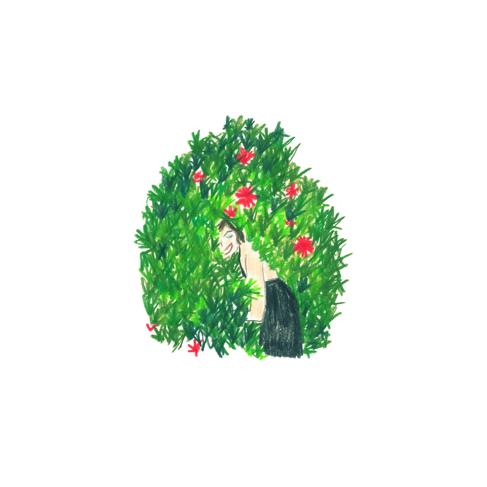 luann hi res preview.png