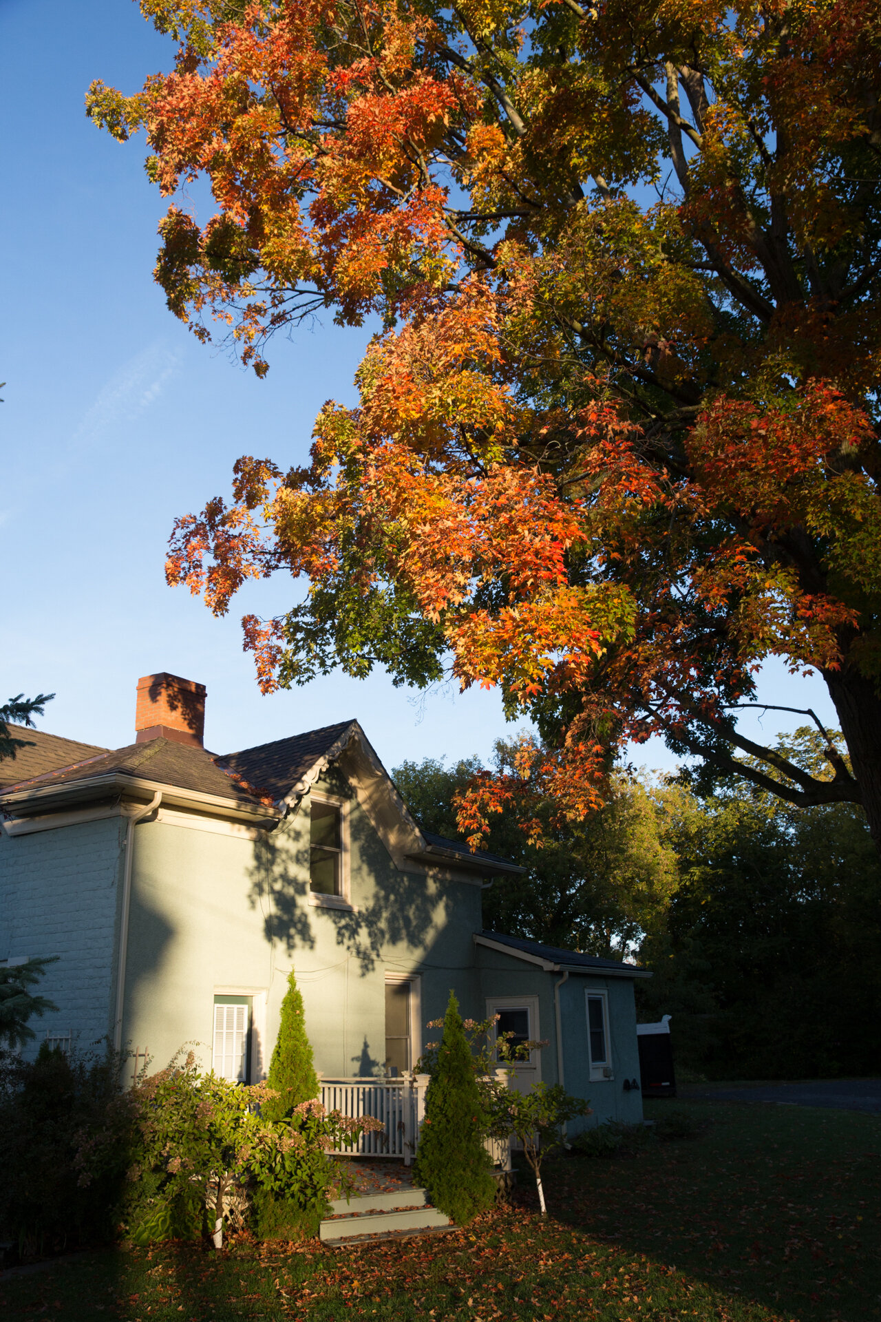 Autumn colours at The Ferg vacation rental Ontario