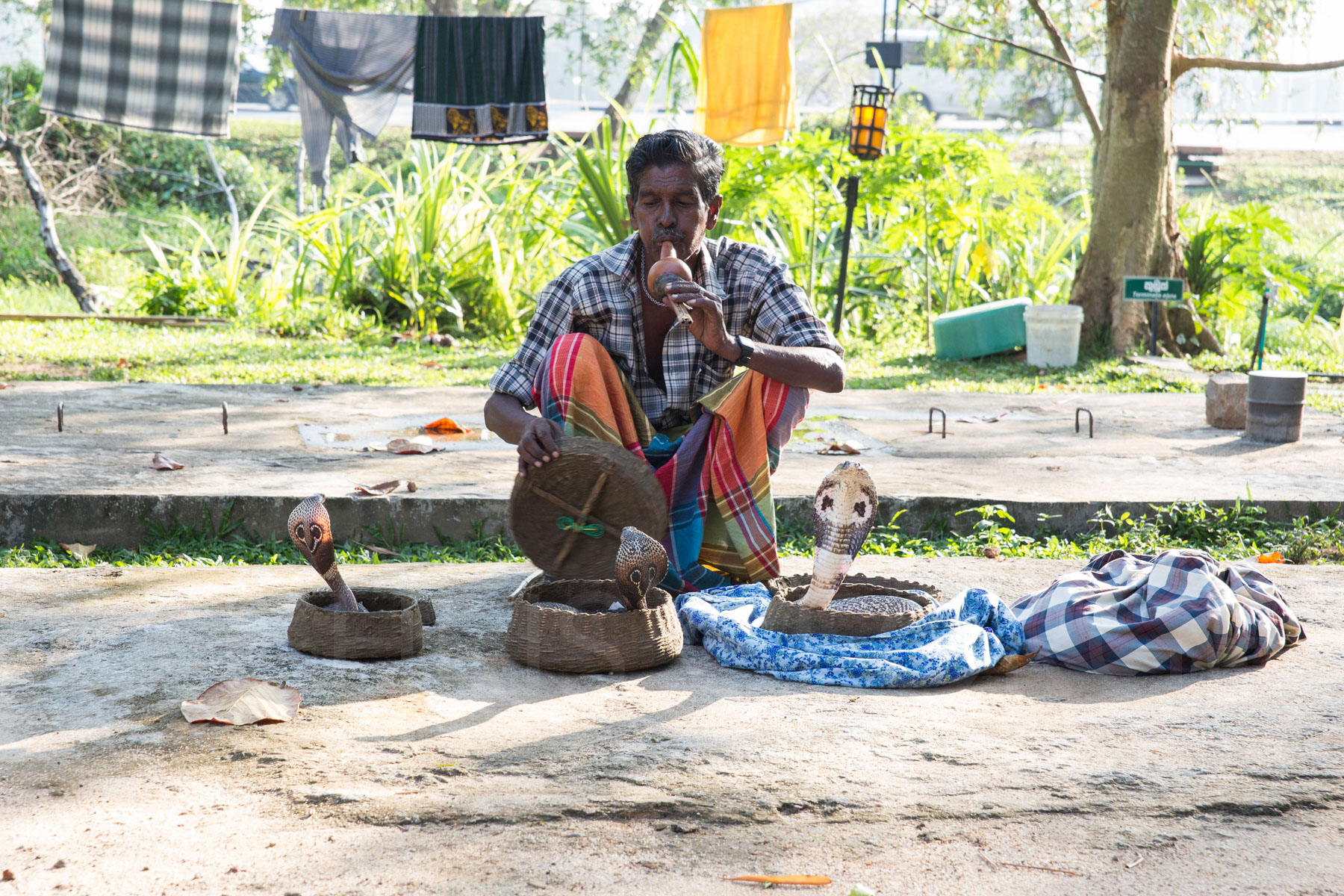 Colombo, Sri Lanka, 2015