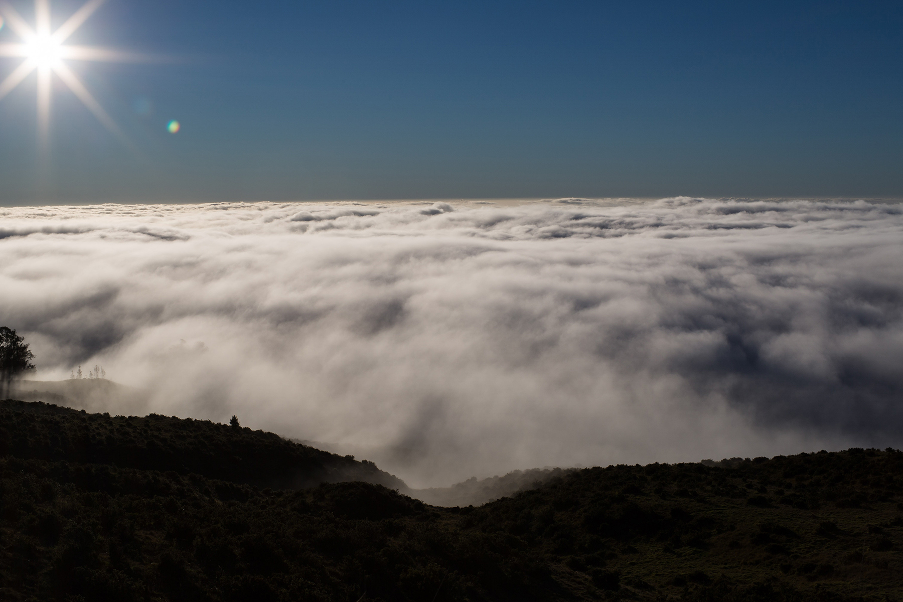 Haleakala, Maui, Hawaii, 2015