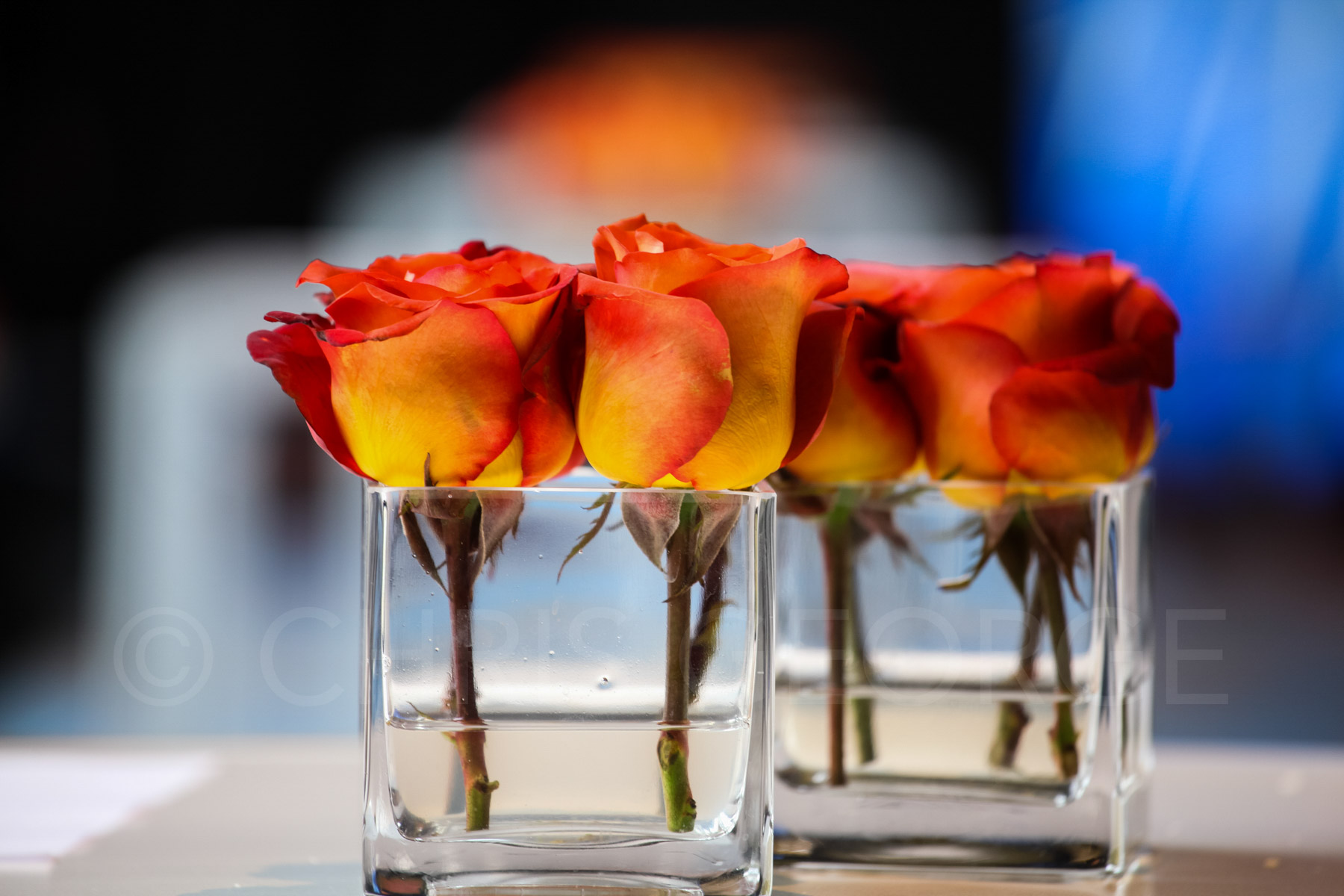 Flower Arrangement, Breakthrough Prize, 2015