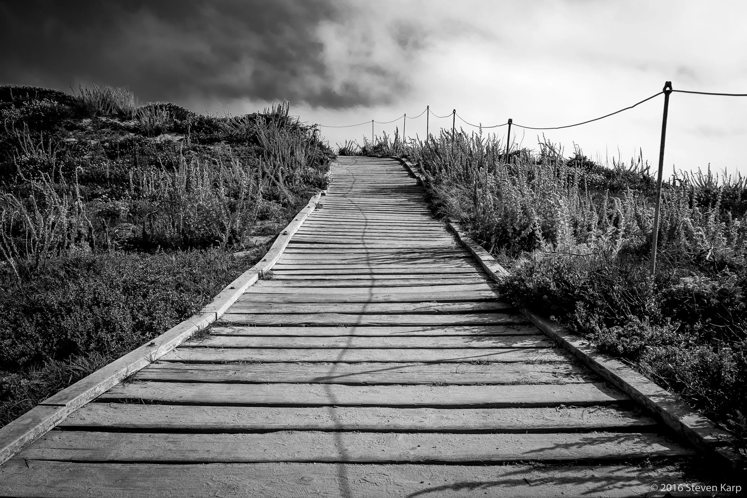 Lonely Walk
