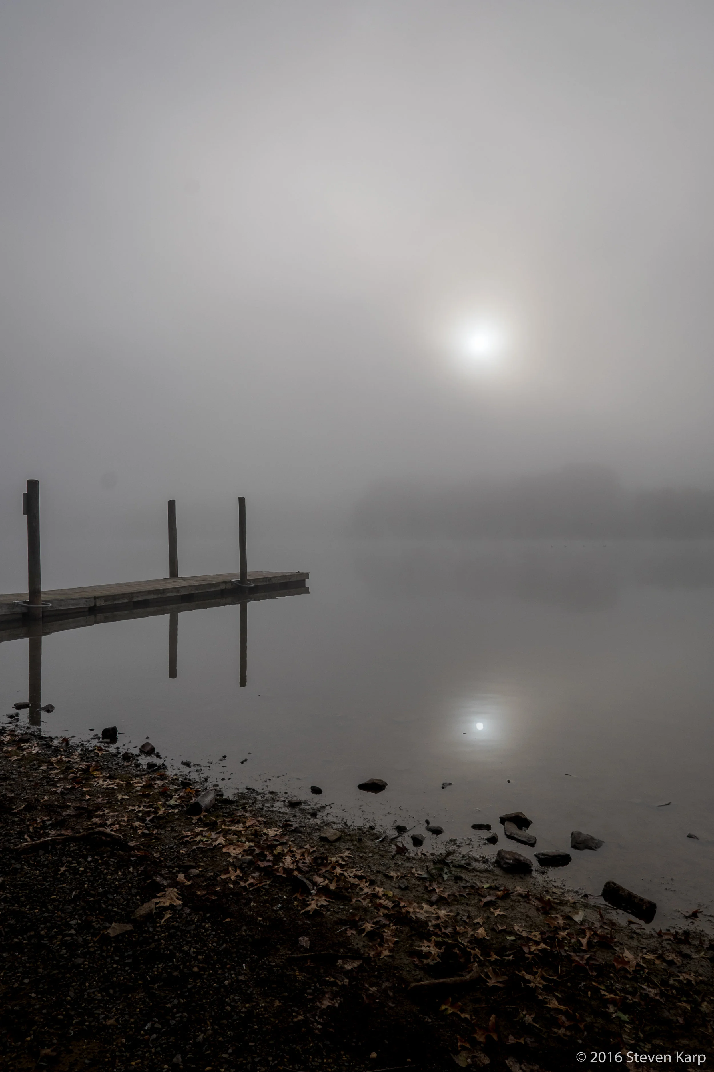 Foggy Sunrise