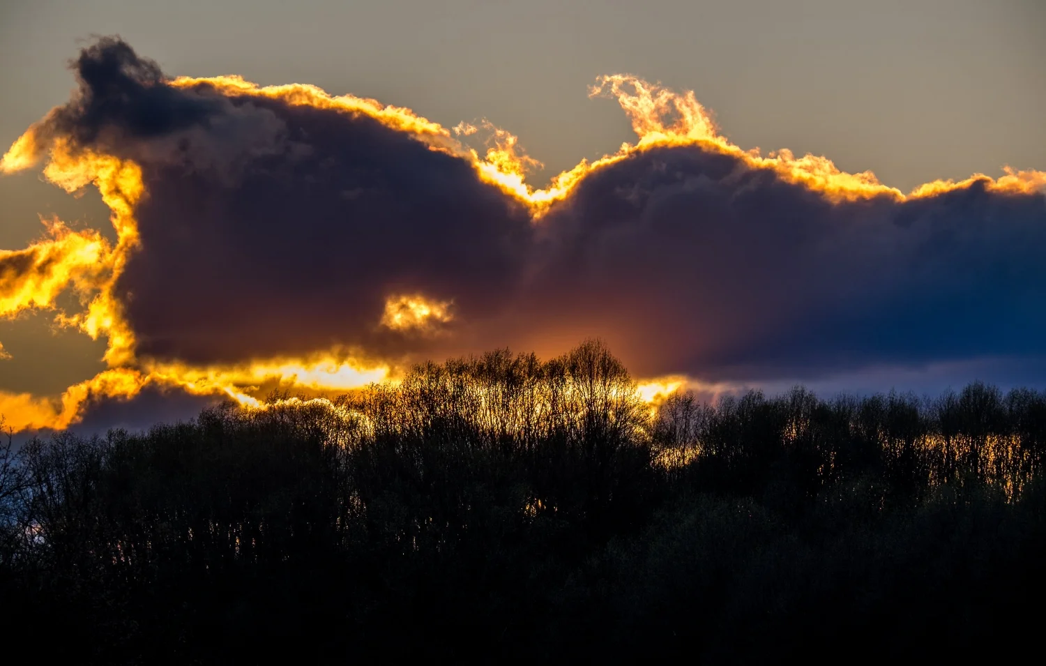 Sunrise