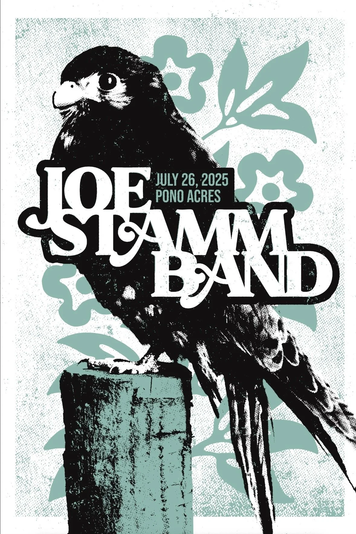 Joe Stamm Band - Outdoor show