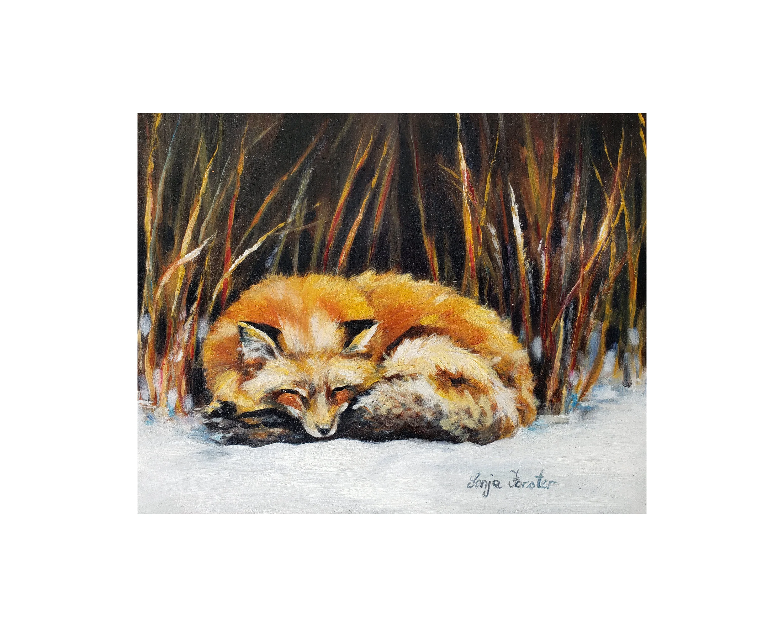 Sonja Forster Art - Sleepy Fox_whitebackground.jpg