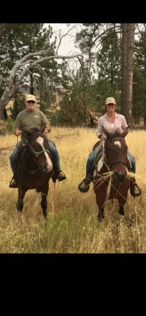 Erin Utterback - Horse Riding Commision Artwork