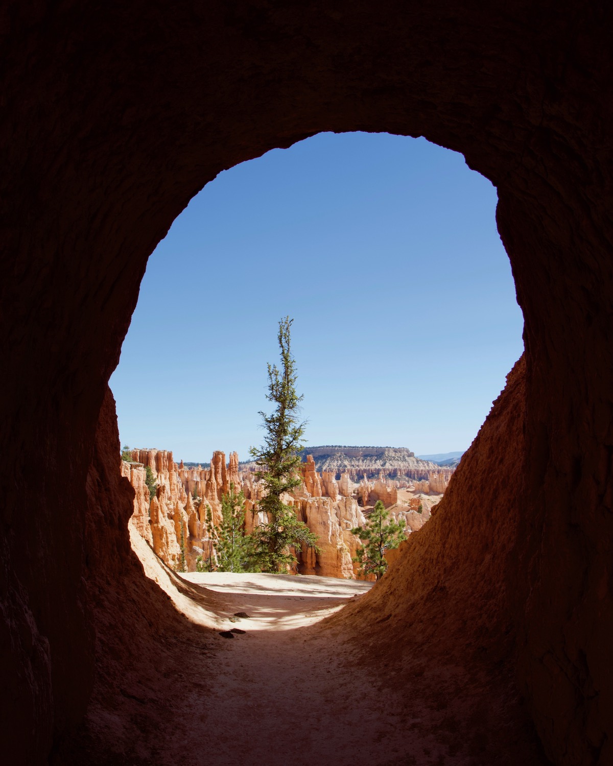 schulte_brycecanyon.jpg