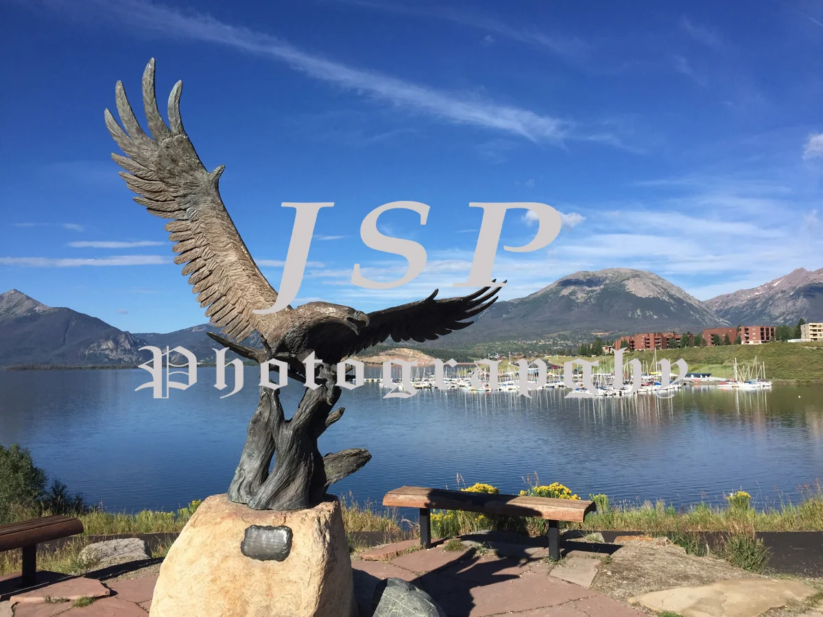 Lake Dillon Eagle, CO