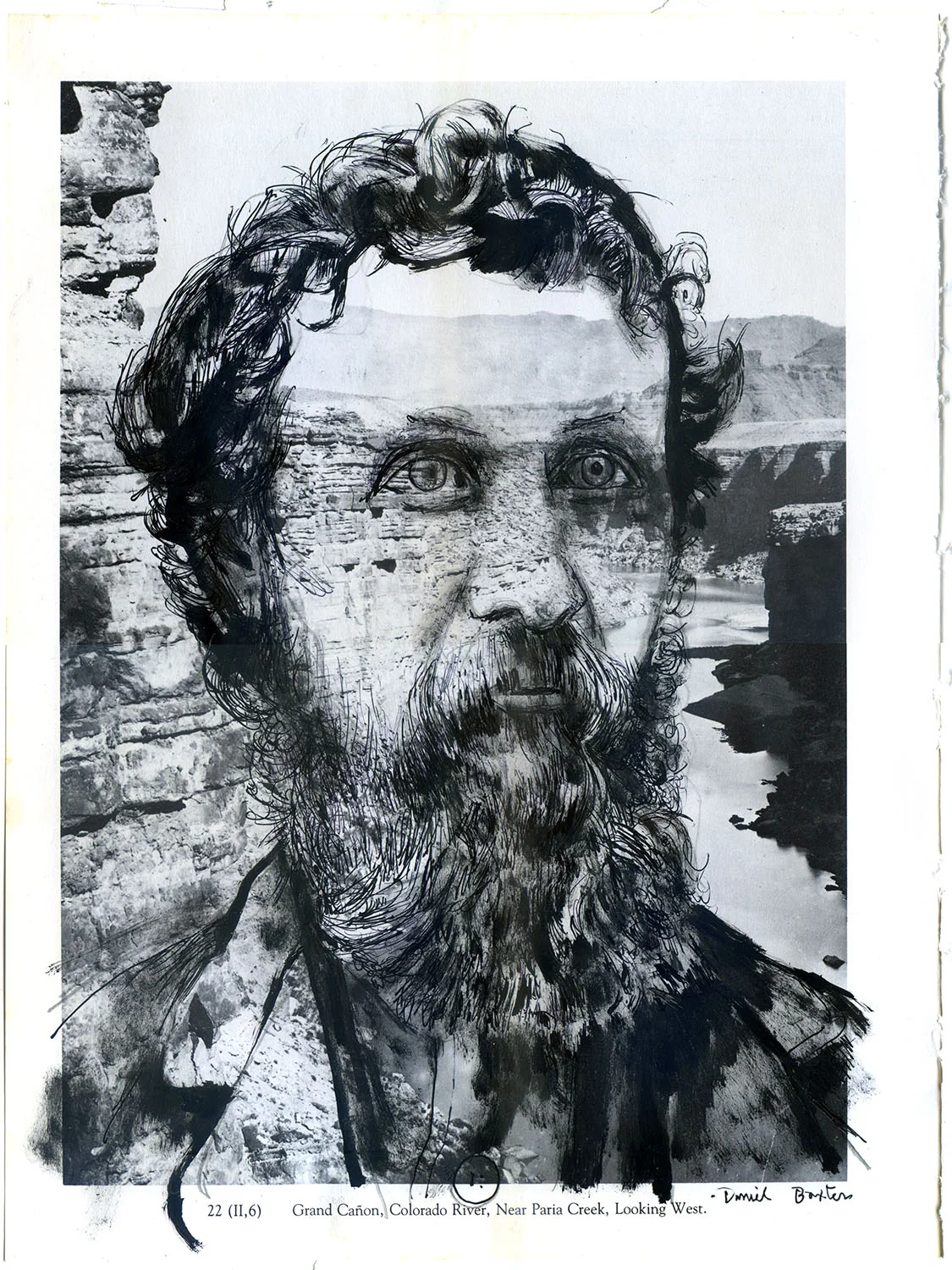 John Muir, Grand Canyon