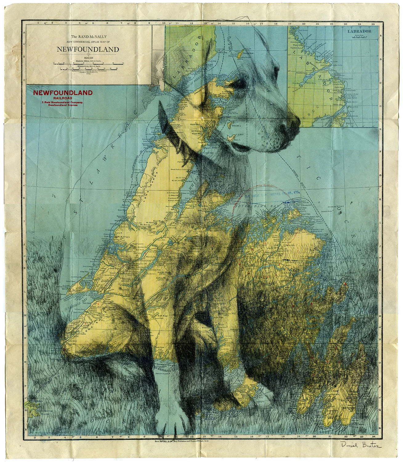 Labrador State of Mind
