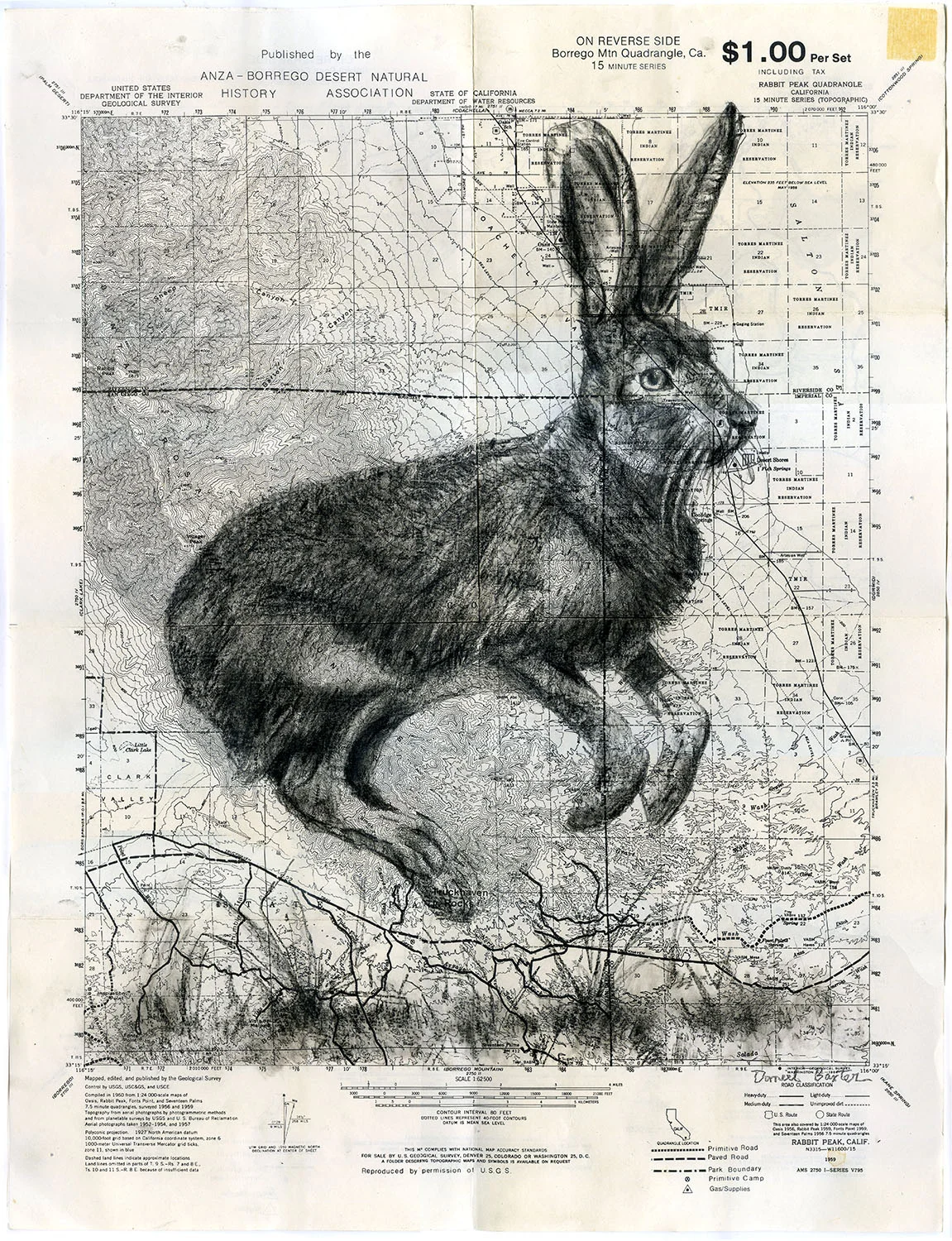 Jackrabbit