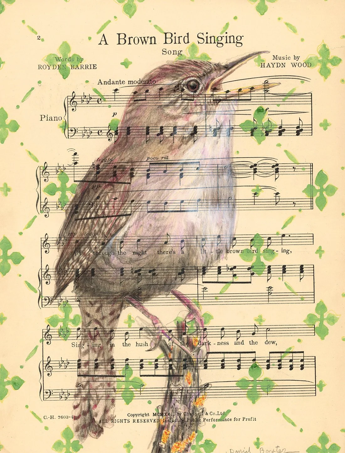 A brown Bird Singing