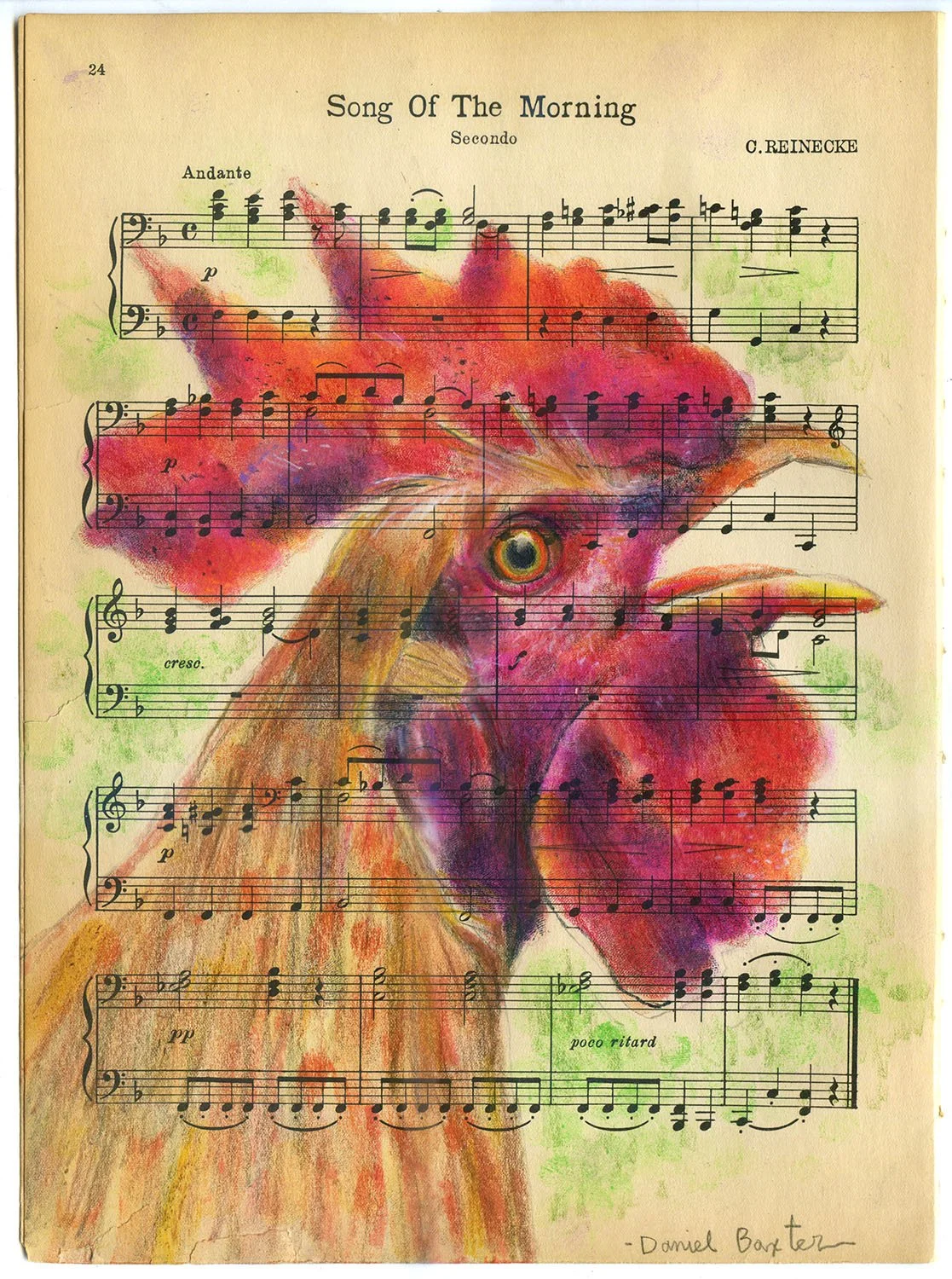 Copyright Daniel Baxter Rooster portrait.jpg