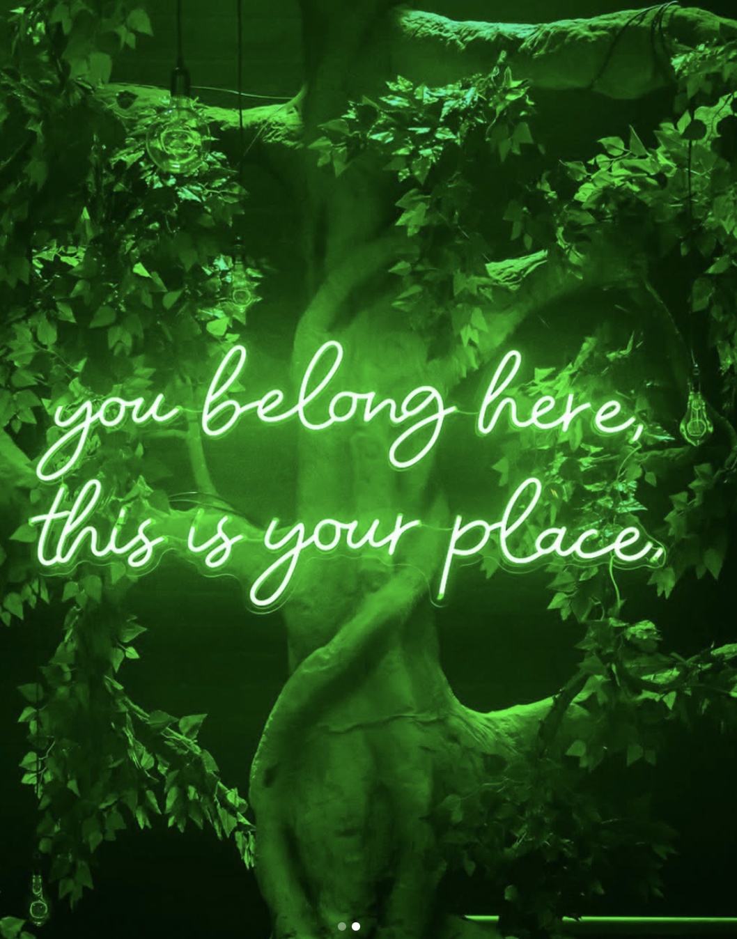 Screenshot 2026-01-24 at 14.45.13.png