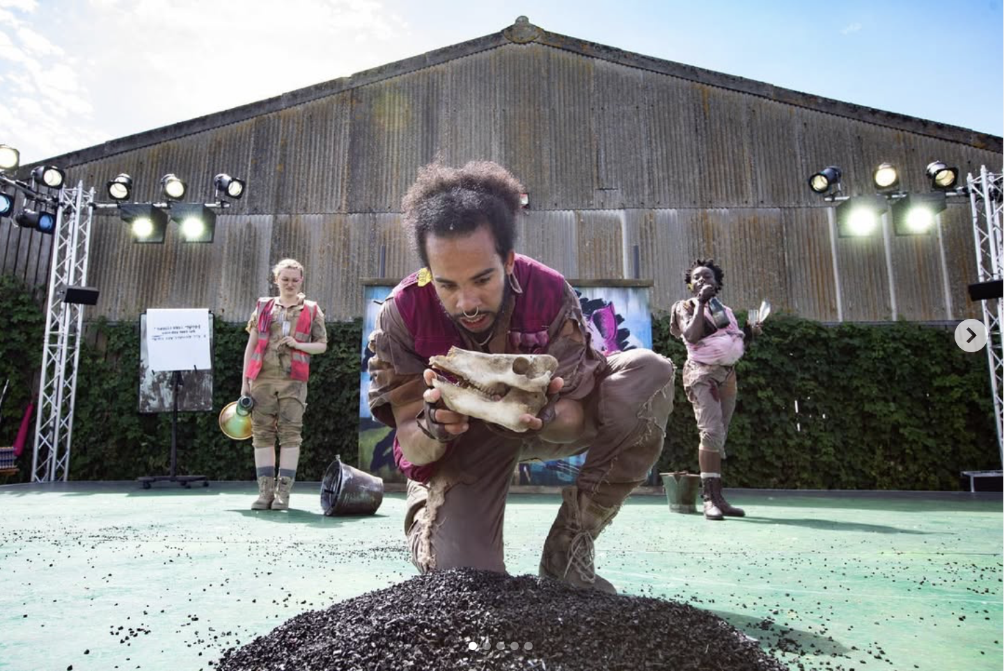 Animal farm (NYT at Soulton Hall Farm)