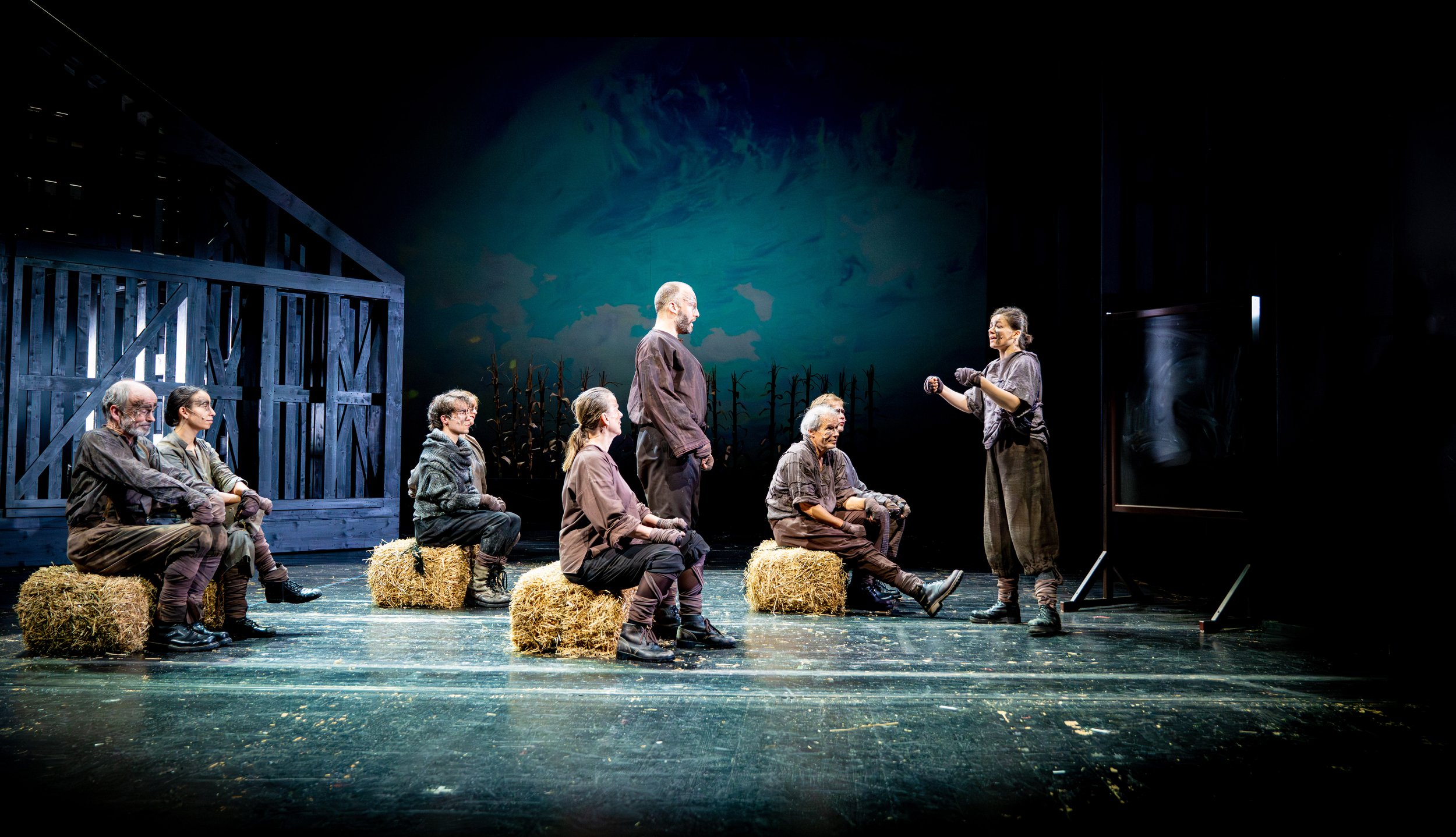 Theater Trier Animal Farm-6797.JPG