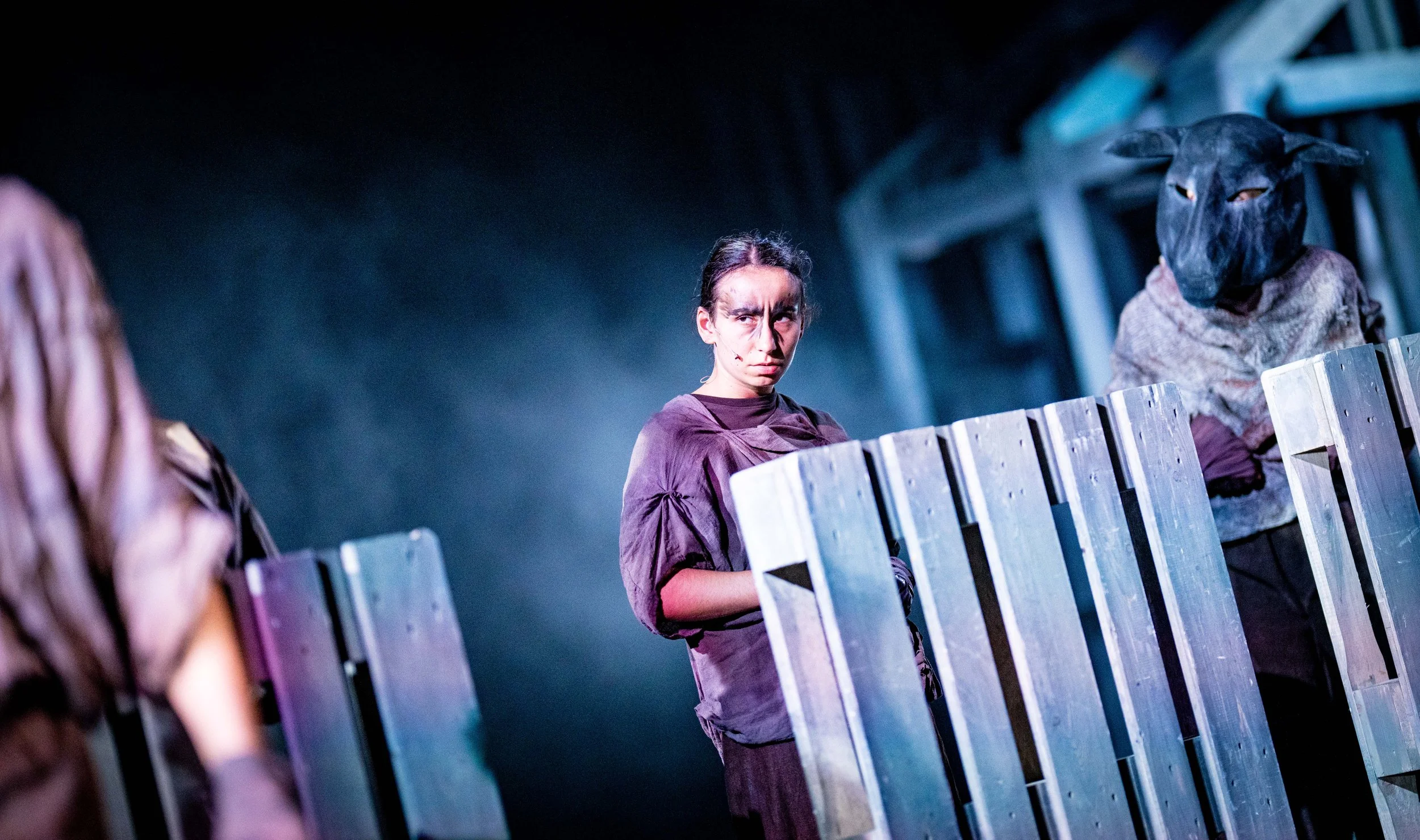 Theater Trier Animal Farm-1273.JPG