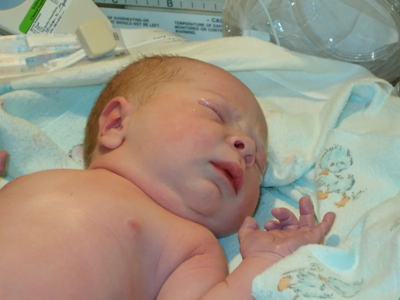 Introducing Oliver Cole Hutcheson