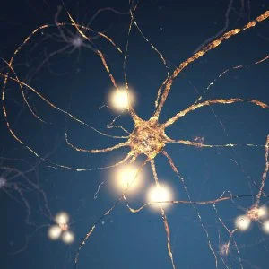 The art of managing complex collaborations