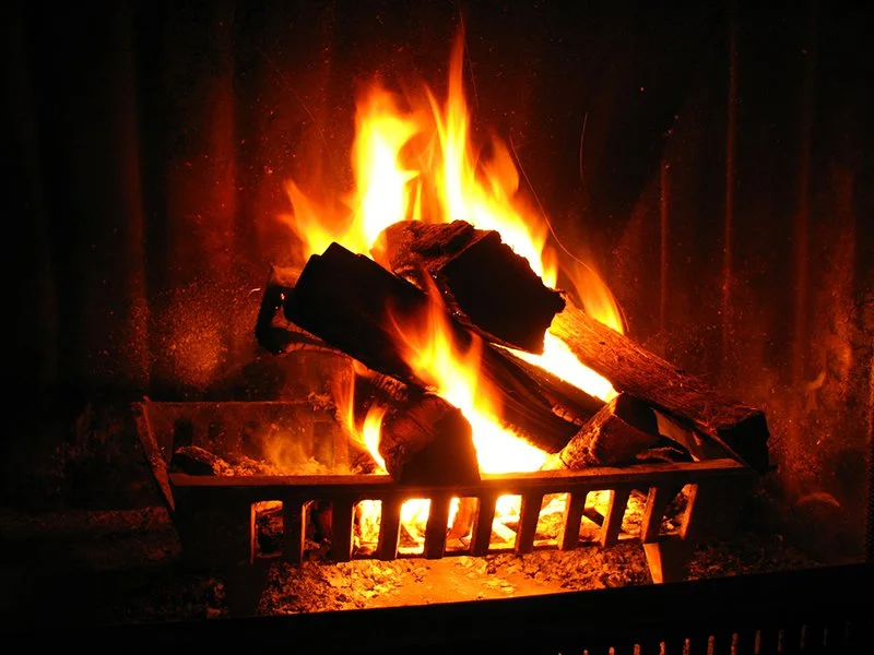 A warm and fuzzy thanksgiving