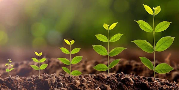 The Growth Curve: Know Where You Are?