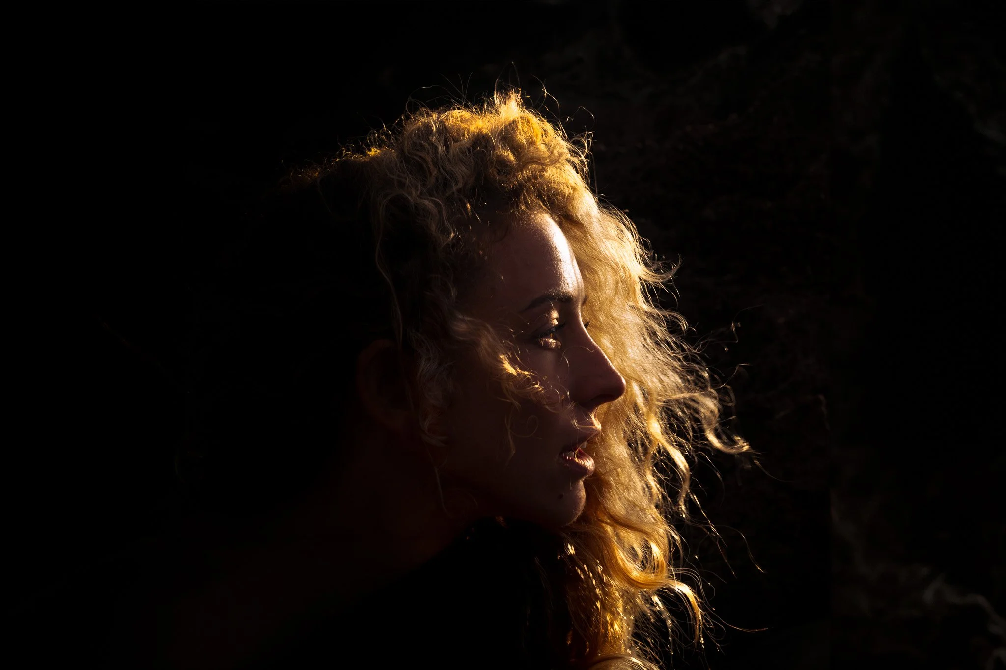 _E6A4208-Edit-Edit.jpg