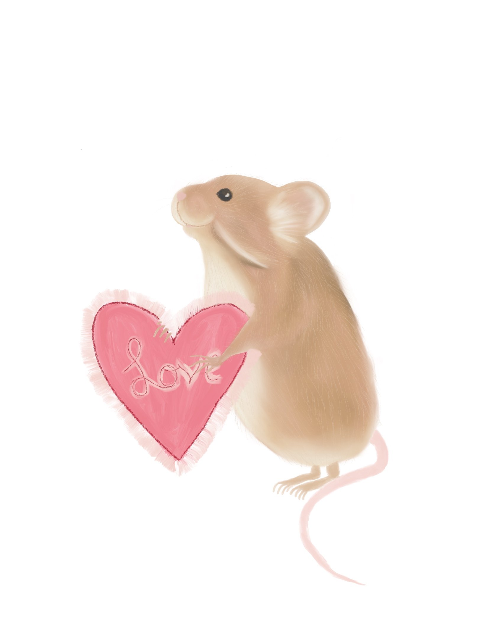 Valentines Mouse.jpg