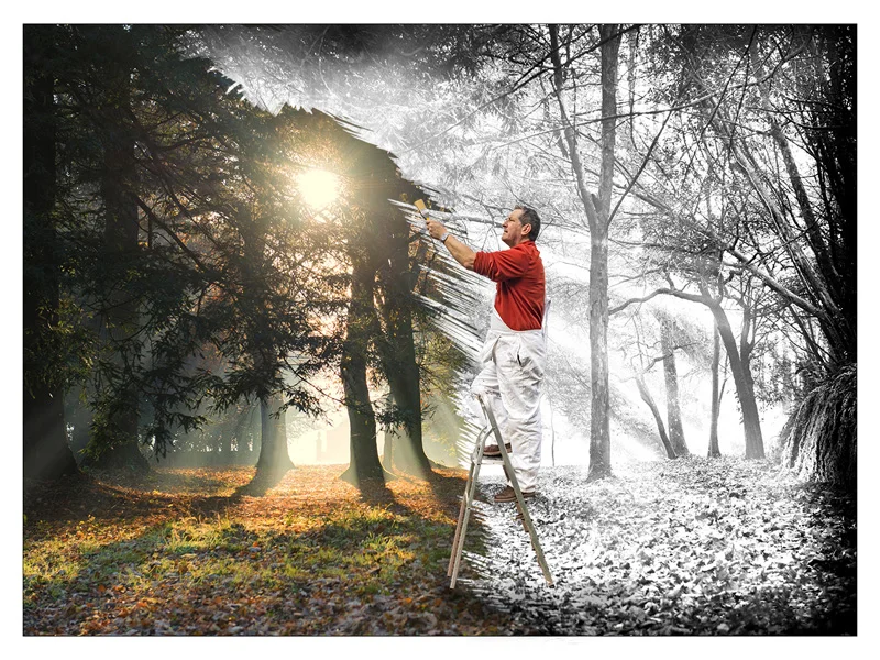 Landscape painter - Andrew Knight