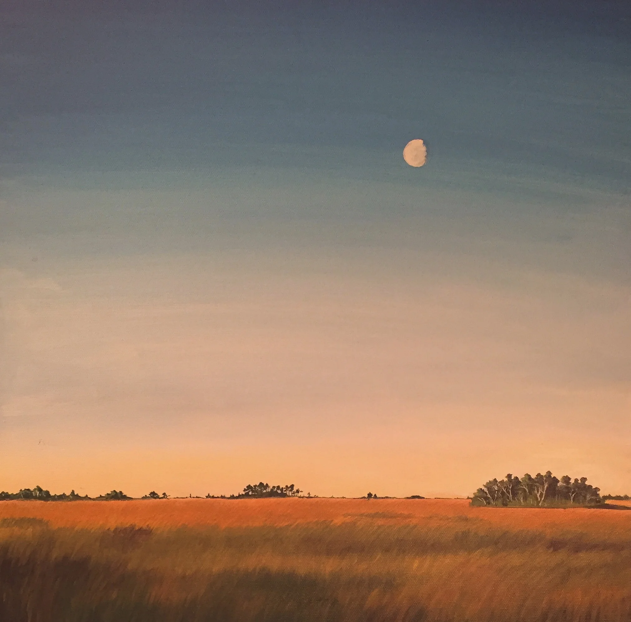 Everglades - Grasslands