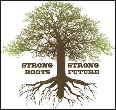 Tree_Roots.jpg