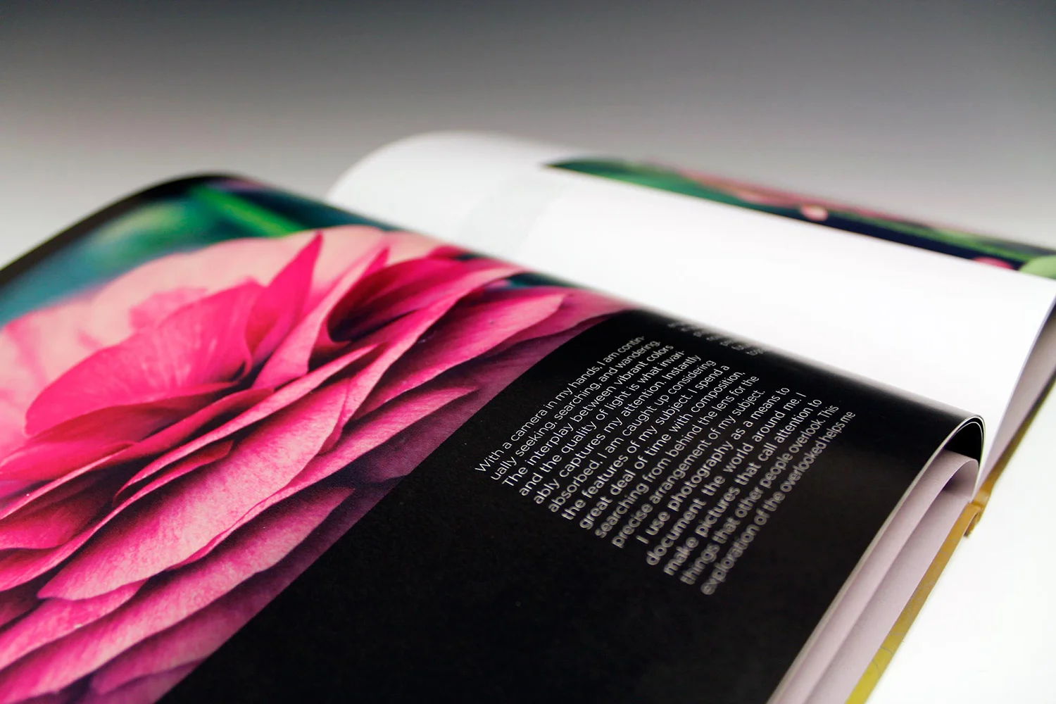 PhotographyBook_Full_1d.jpg