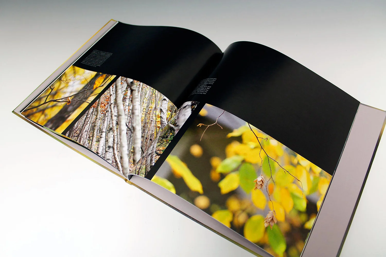 PhotographyBook_Full_1g.jpg