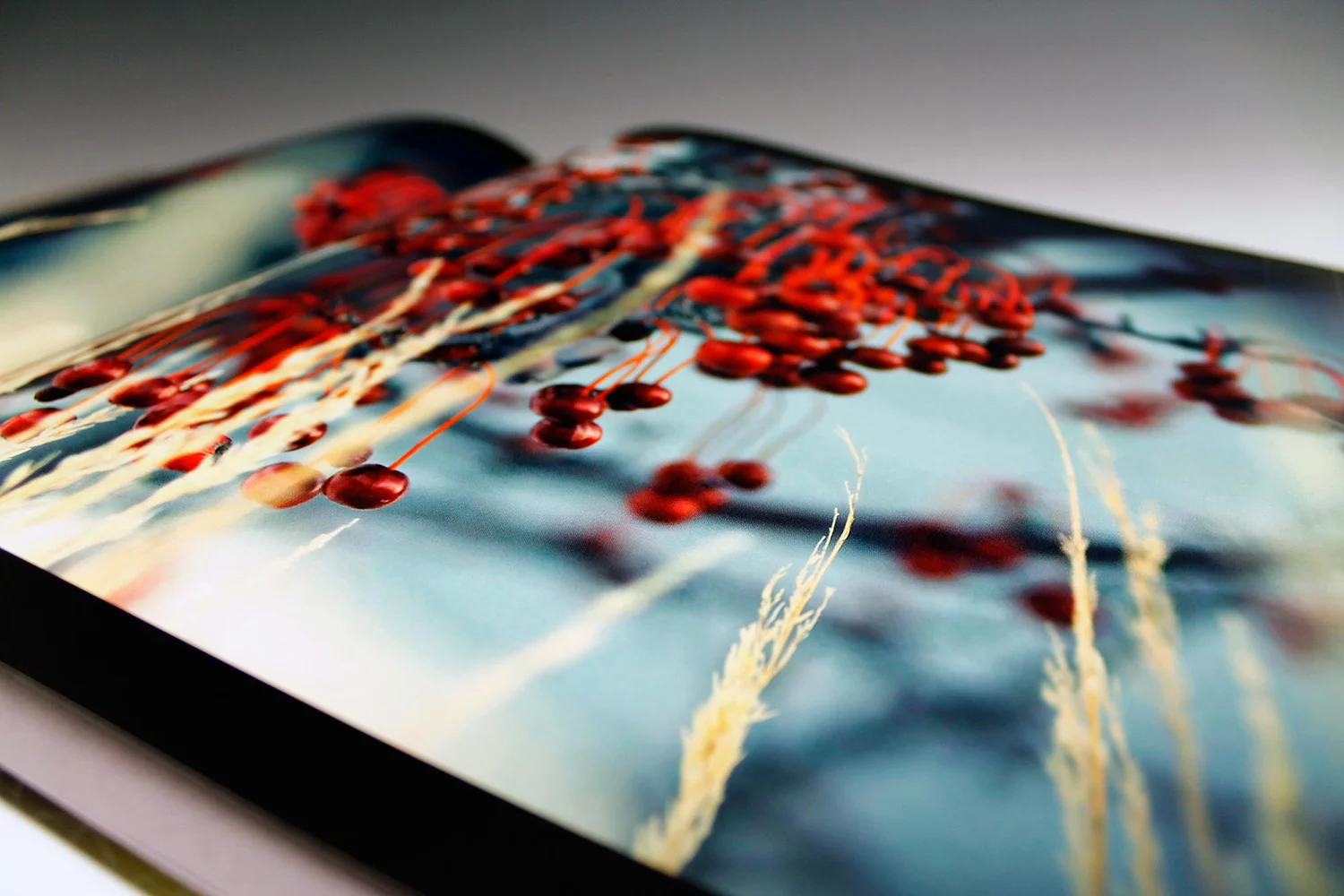 PhotographyBook_Full_1h.jpg