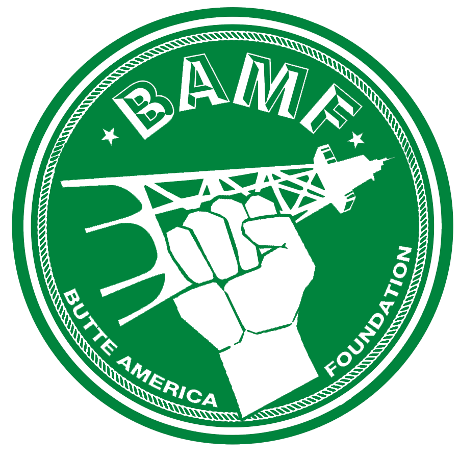 Now Accepting Nominations for the St Patrick's Day Parade Grand Marshal