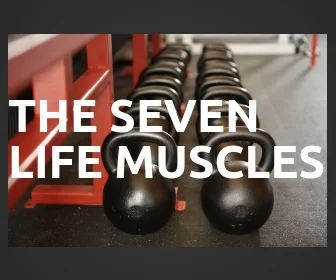 Life Muscles.jpg