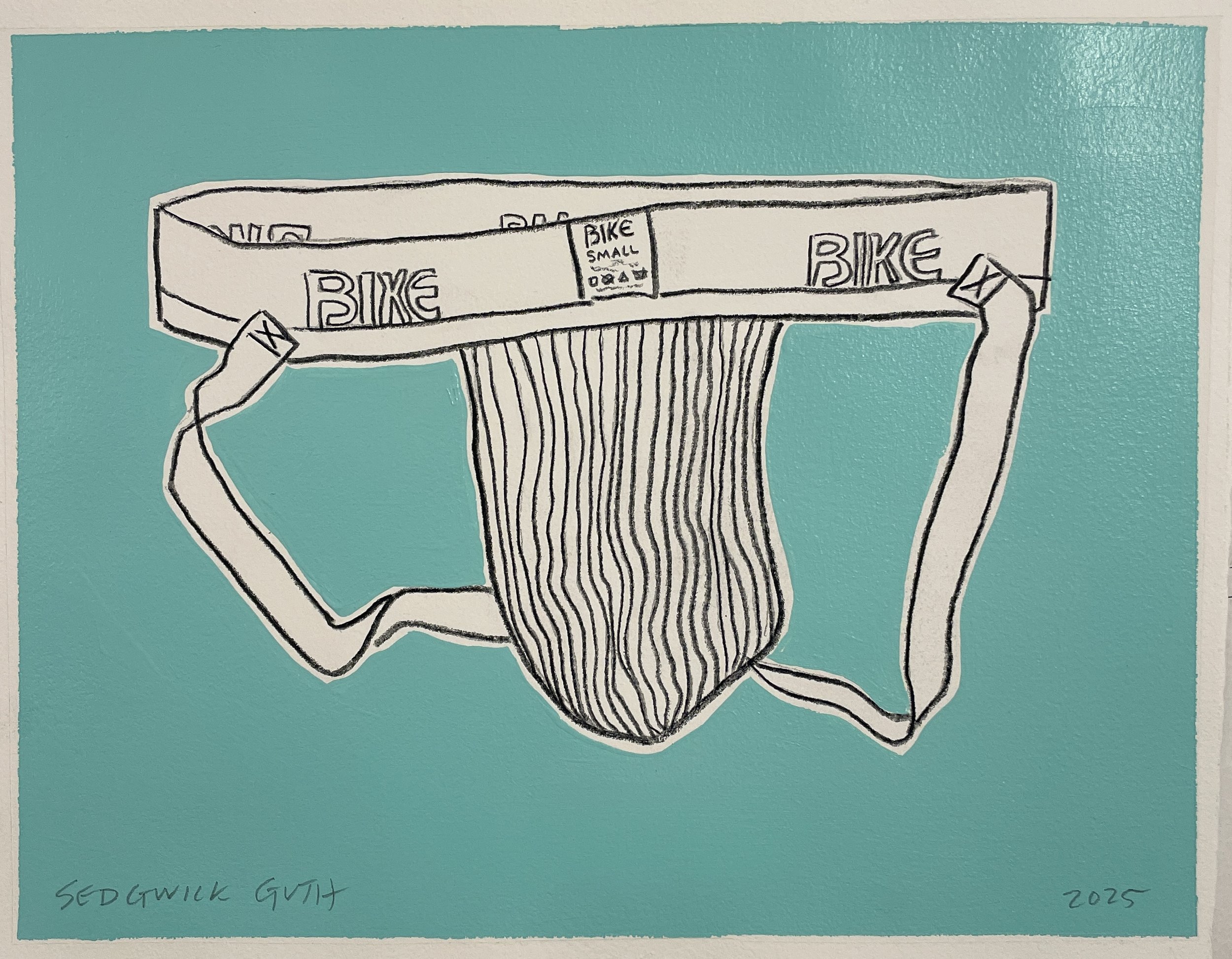 BIKE small in turquoise.jpg