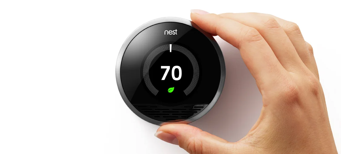 Nest_1.jpg
