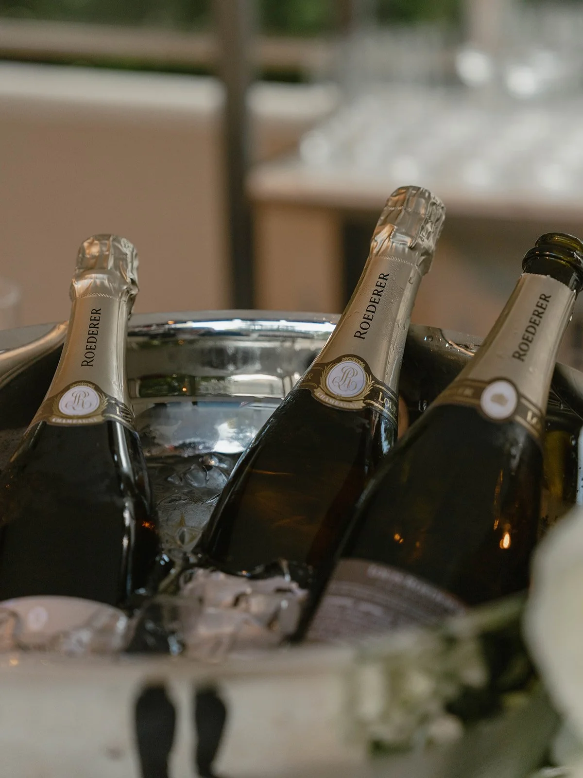 Sean Thomas Photography - Sarah_Jordan_Wedding_Cocktail-34.jpg