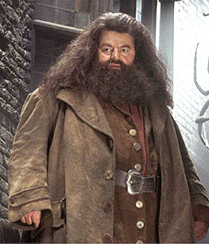 Robbie Coltrane as Rubeus Hagrid in Harry Potter and the Chamber of Secrets (Wikipedia)
